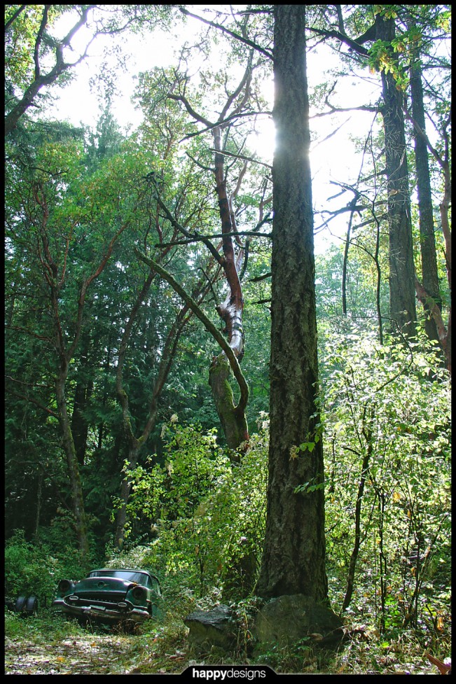 20060418 - Simon's Forest