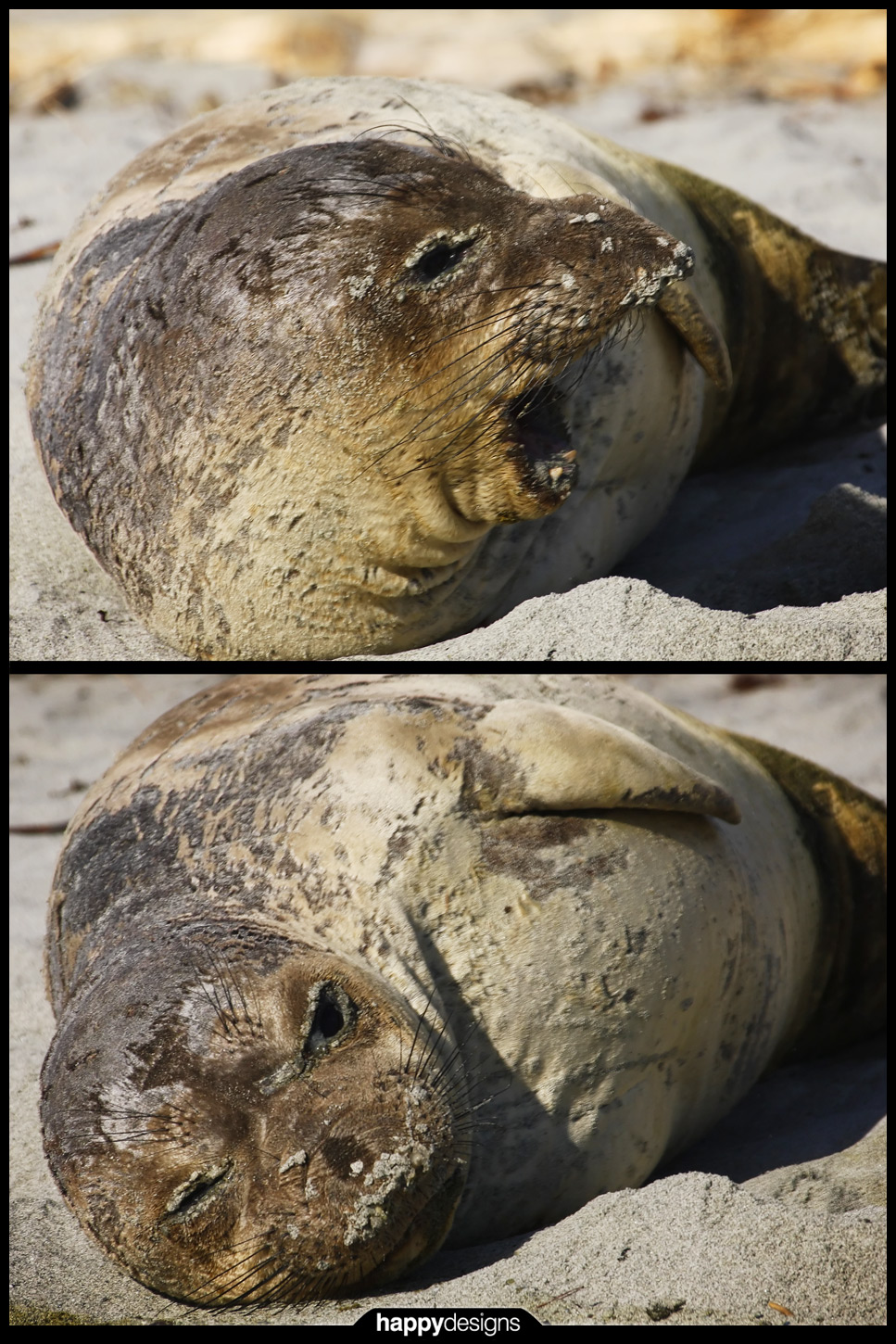 20090213 - Gyro seal is PISSED