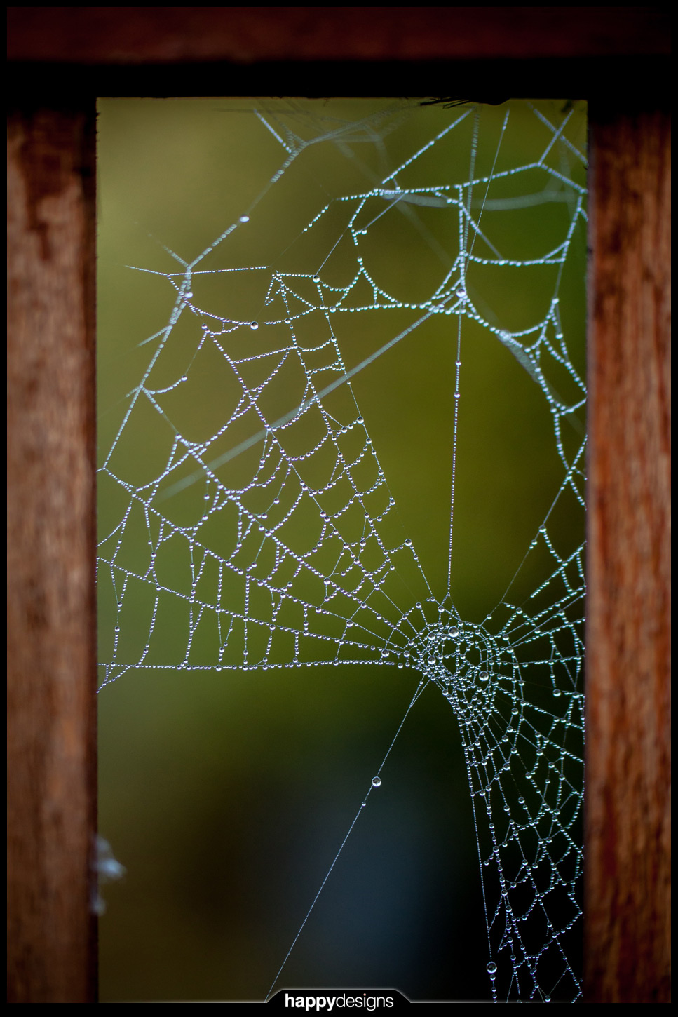 20121015 - misty morning spiderwebs-0002