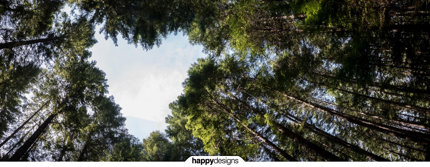 20150811 - getting nature all over me-0001